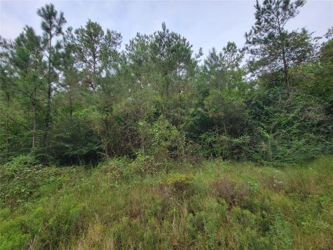 20122 Meadow Lake Road Cleveland TX 77328
