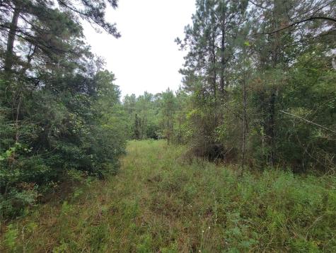 20122 Meadow Lake Road Cleveland TX 77328