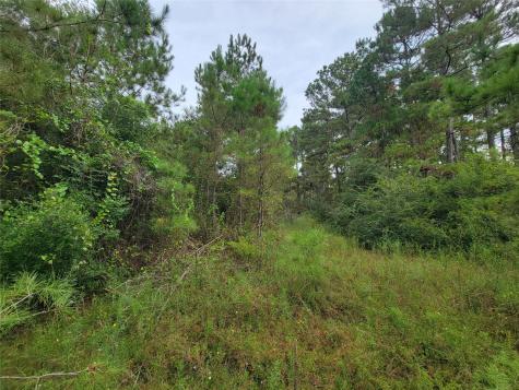 20122 Meadow Lake Road Cleveland TX 77328