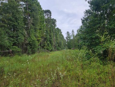 20122 Meadow Lake Road Cleveland TX 77328