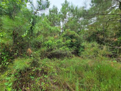 20122 Meadow Lake Road Cleveland TX 77328