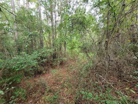 20122 Meadow Lake Road Cleveland TX 77328