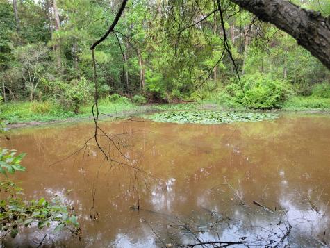 20122 Meadow Lake Road Cleveland TX 77328