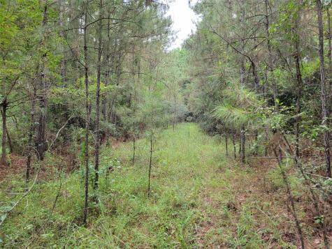 20122 Meadow Lake Road Cleveland TX 77328