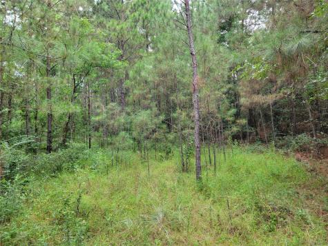20122 Meadow Lake Road Cleveland TX 77328