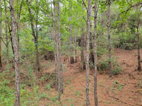 20122 Meadow Lake Road Cleveland TX 77328