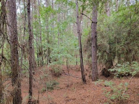 20122 Meadow Lake Road Cleveland TX 77328