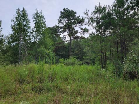 20122 Meadow Lake Road Cleveland TX 77328