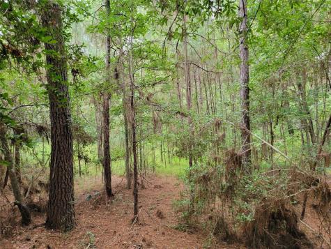 20122 Meadow Lake Road Cleveland TX 77328