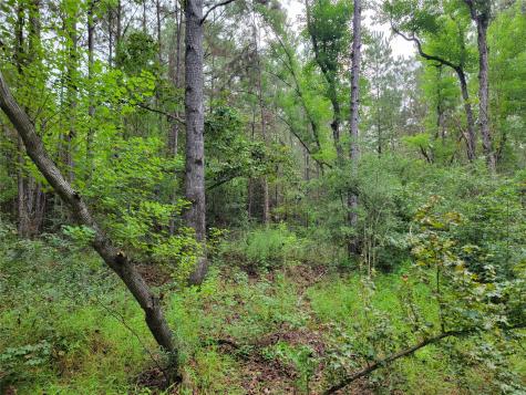 20122 Meadow Lake Road Cleveland TX 77328