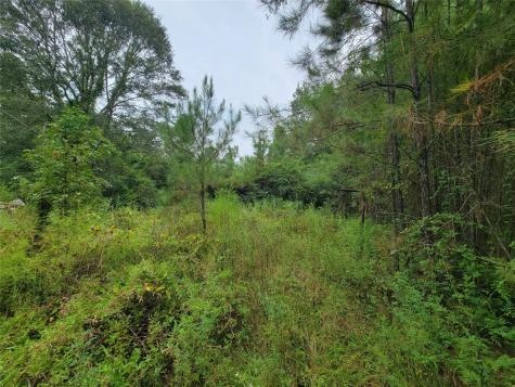 20122 Meadow Lake Road Cleveland TX 77328