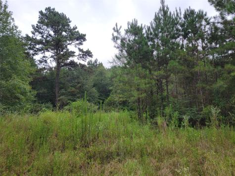 20122 Meadow Lake Road Cleveland TX 77328