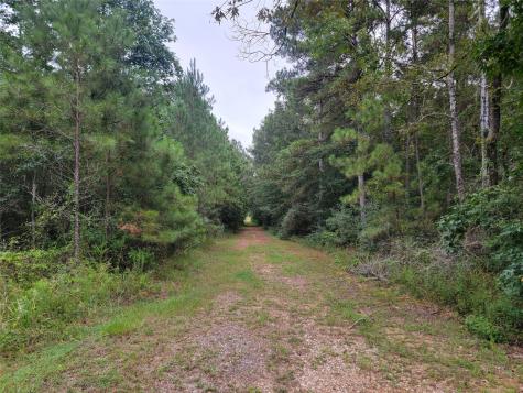 20122 Meadow Lake Road Cleveland TX 77328