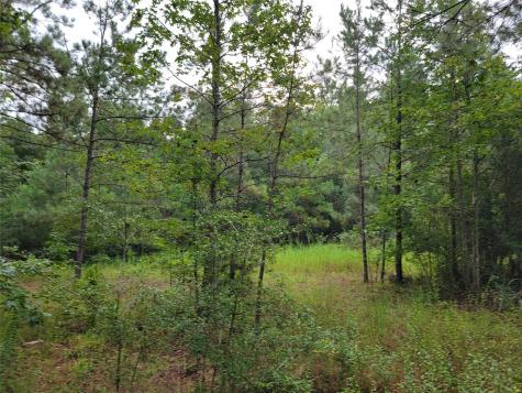 20122 Meadow Lake Road Cleveland TX 77328