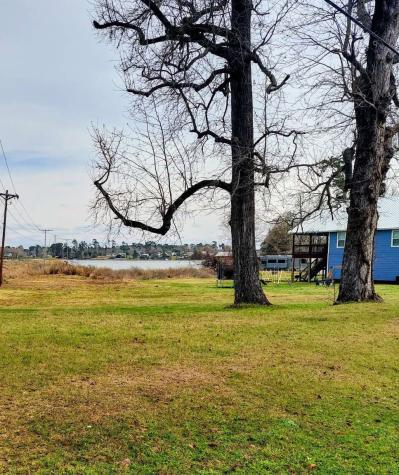 129 Lakeshore N Onalaska TX 77360