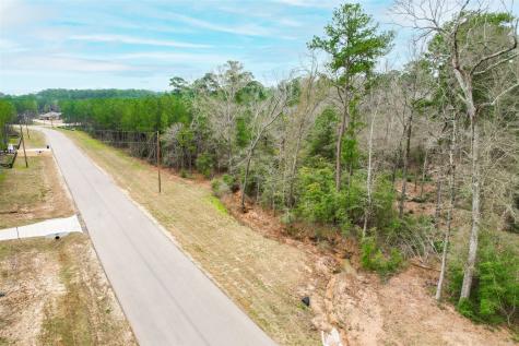 00 Larkspur Lane New Waverly TX 77358