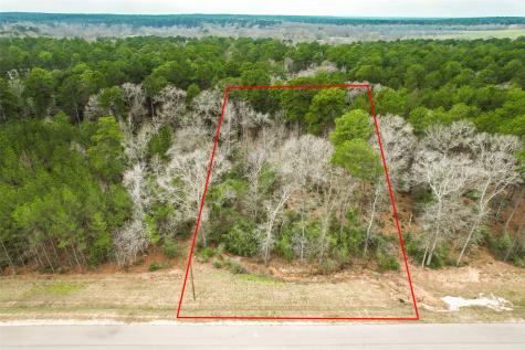 00 Larkspur Lane New Waverly TX 77358