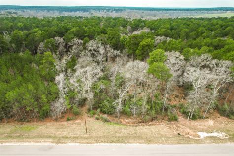 00 Larkspur Lane New Waverly TX 77358