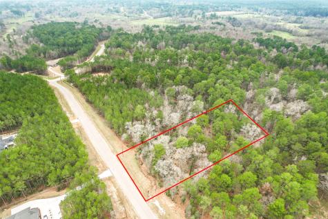 00 Larkspur Lane New Waverly TX 77358