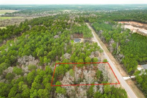 00 Larkspur Lane New Waverly TX 77358