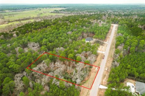 00 Larkspur Lane New Waverly TX 77358