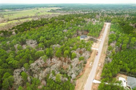 00 Larkspur Lane New Waverly TX 77358