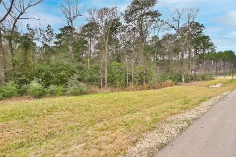 00 Larkspur Lane New Waverly TX 77358