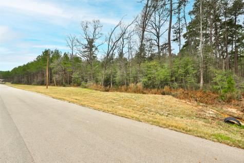 00 Larkspur Lane New Waverly TX 77358