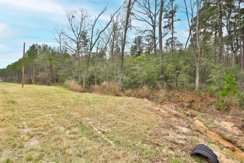 00 Larkspur Lane New Waverly TX 77358