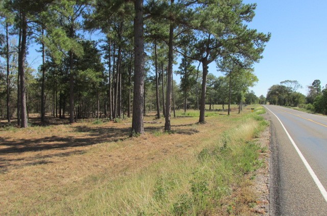 1152 Fm 247 Road Huntsville TX 77320