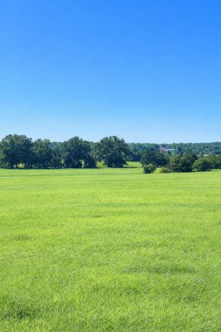 Tbd (+/- 38.77 Acres) Andreski Road Bremond TX 76629