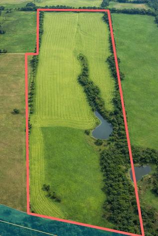 Tbd (+/- 38.77 Acres) Andreski Road Bremond TX 76629