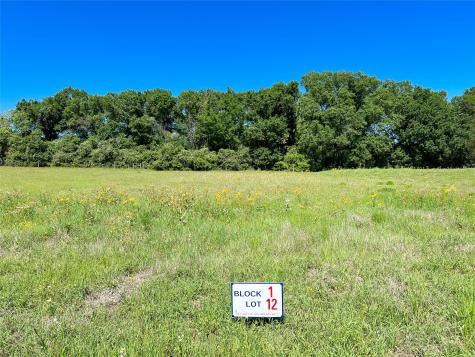 Tbd Broadway Street Jewett TX 75846