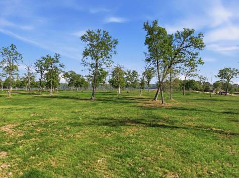 Lot 2 Island View Livingston TX 77351
