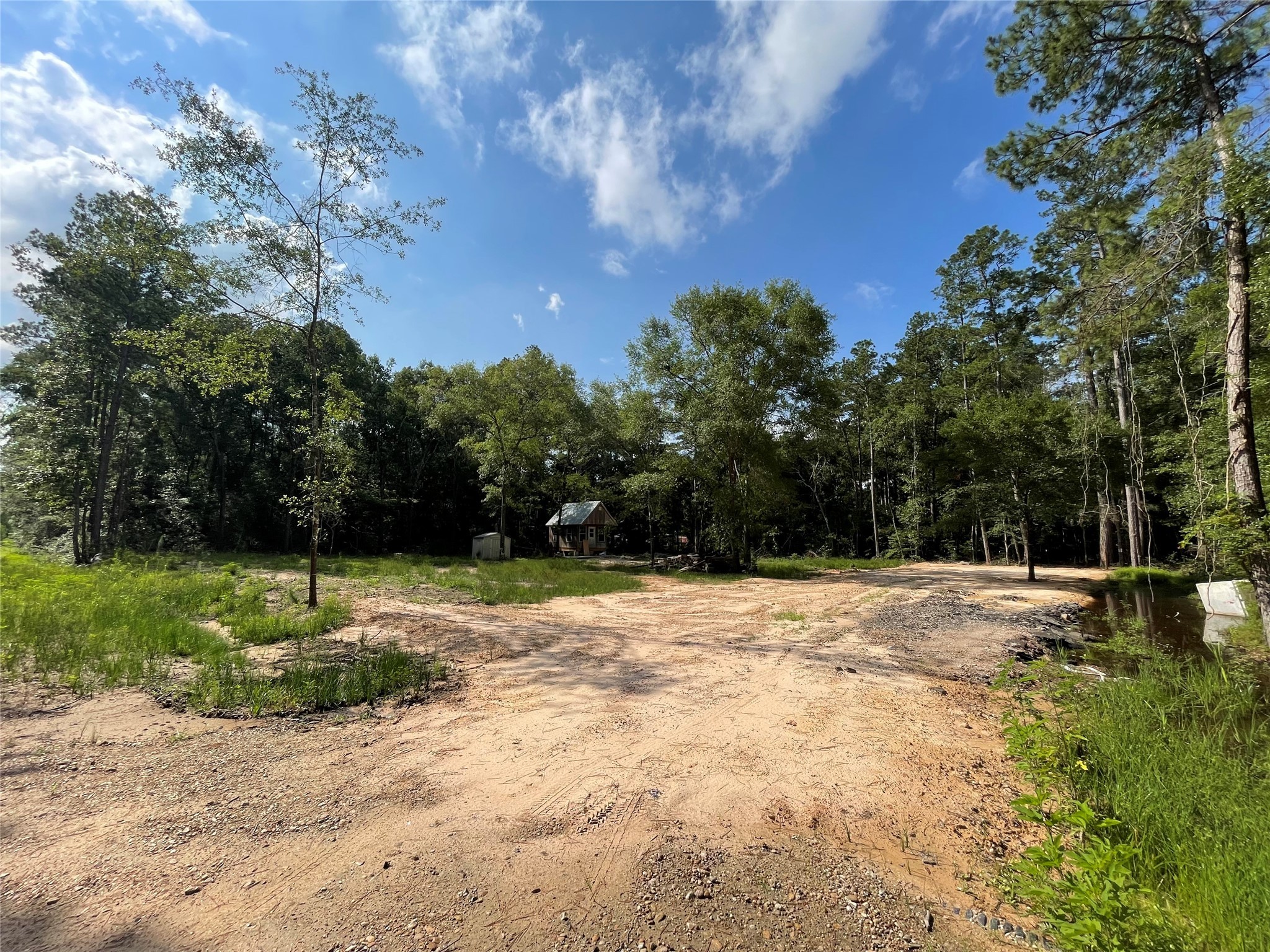15782 Largent Drive Plantersville TX 77363