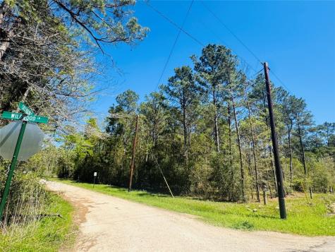 00 Creekbend Drive Plantersville TX 77363
