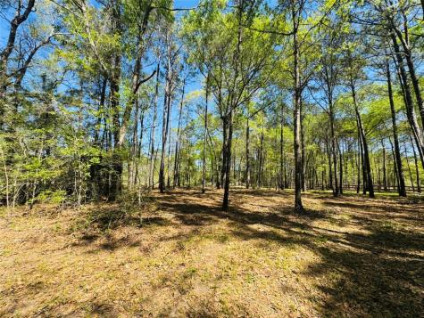 00 Creekbend Drive Plantersville TX 77363