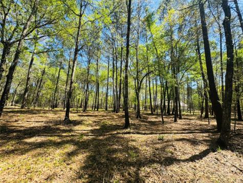 00 Creekbend Drive Plantersville TX 77363