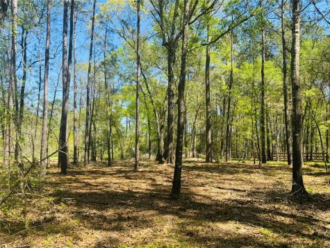 00 Creekbend Drive Plantersville TX 77363