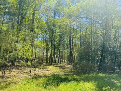 00 Creekbend Drive Plantersville TX 77363