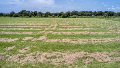 24659 Richards Road Hempstead TX 77445