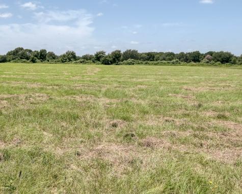 24659 Richards Road Hempstead TX 77445