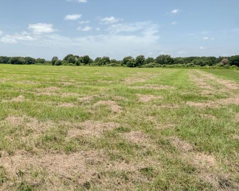 24659 Richards Road Hempstead TX 77445