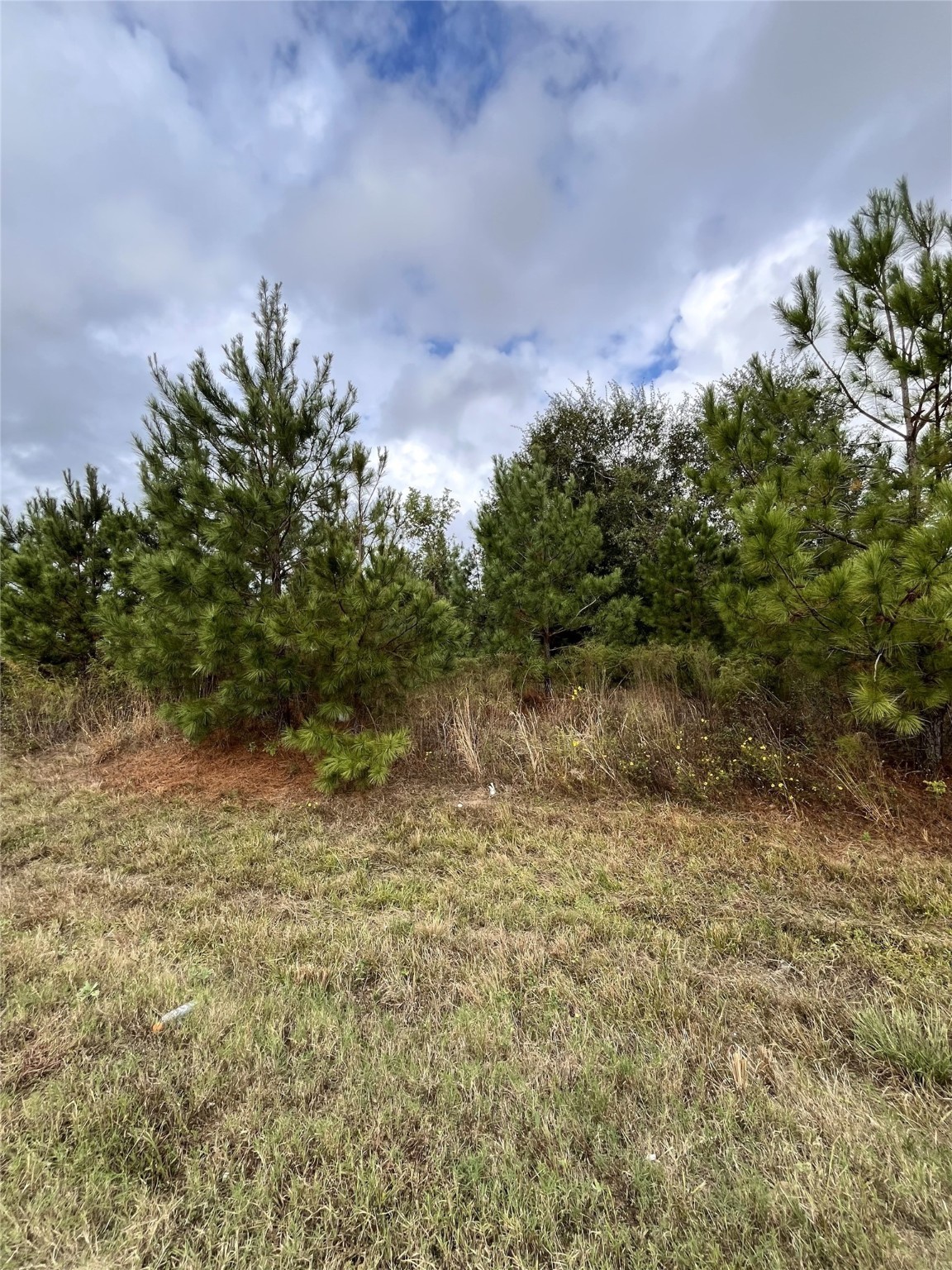 499 County Road 5017 Cleveland TX 77327