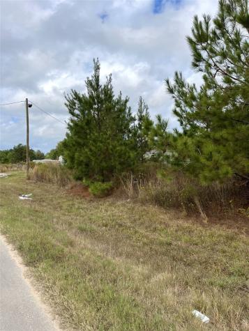 499 County Road 5017 Cleveland TX 77327