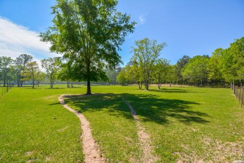 24897 Rainbow Lane New Caney TX 77357