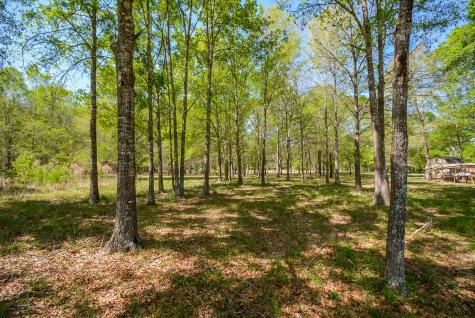 24897 Rainbow Lane New Caney TX 77357