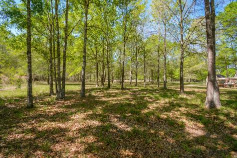 24897 Rainbow Lane New Caney TX 77357