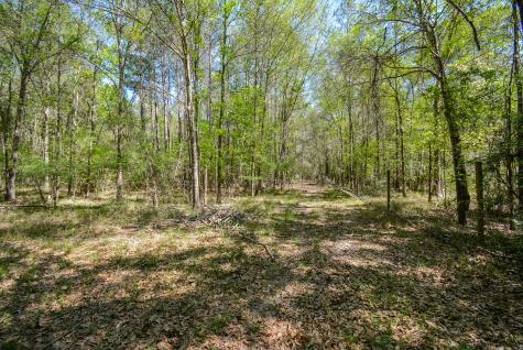 24897 Rainbow Lane New Caney TX 77357