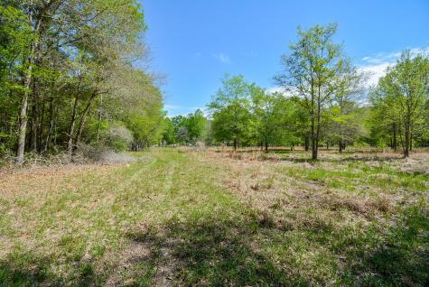 24897 Rainbow Lane New Caney TX 77357